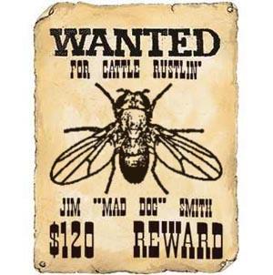 WANTED012345