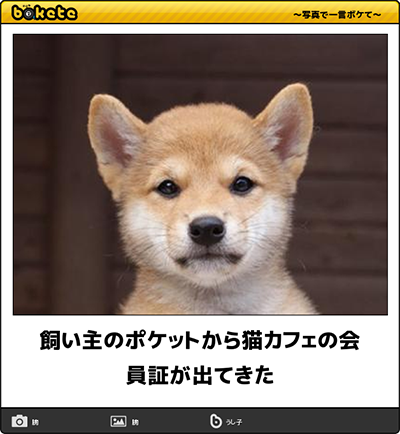 bokete
