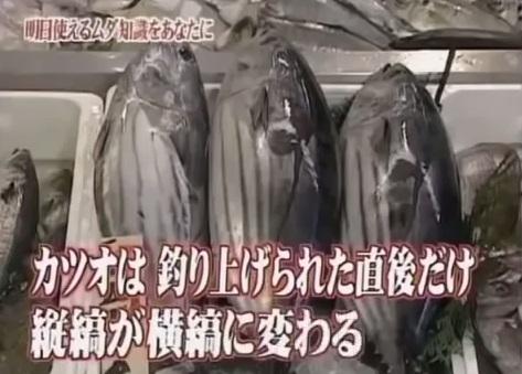 トリビア 知識 雑学