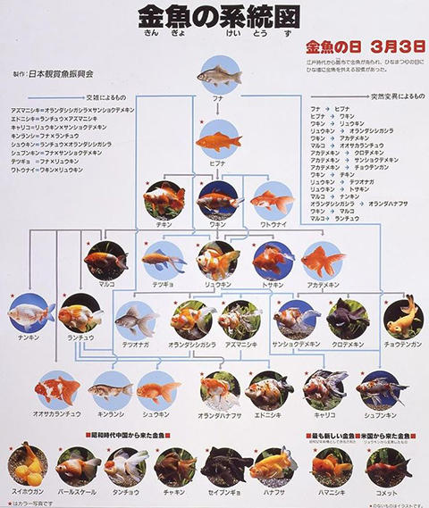 役に立つ画像