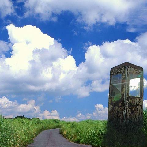 夏画像