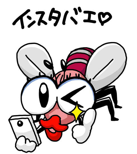インスタ蝿