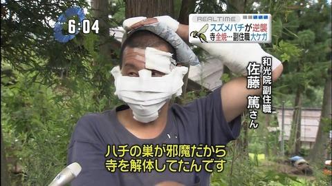 スズメバチ 駆除
