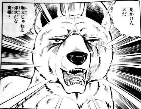 犬