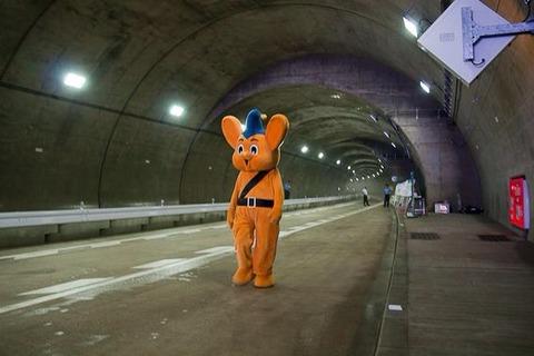 なんで保存したのかわからない画像