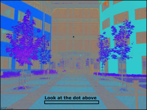 c1623bf4.gif