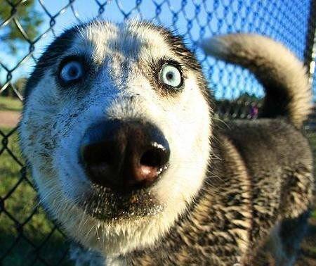 おもしろ画像