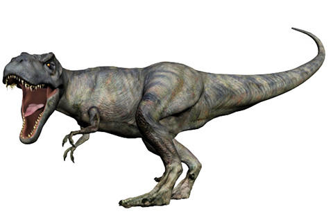 rex1