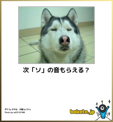 Bokete