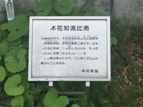 e900931f.jpg