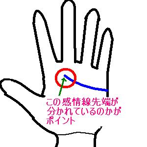 Palm6