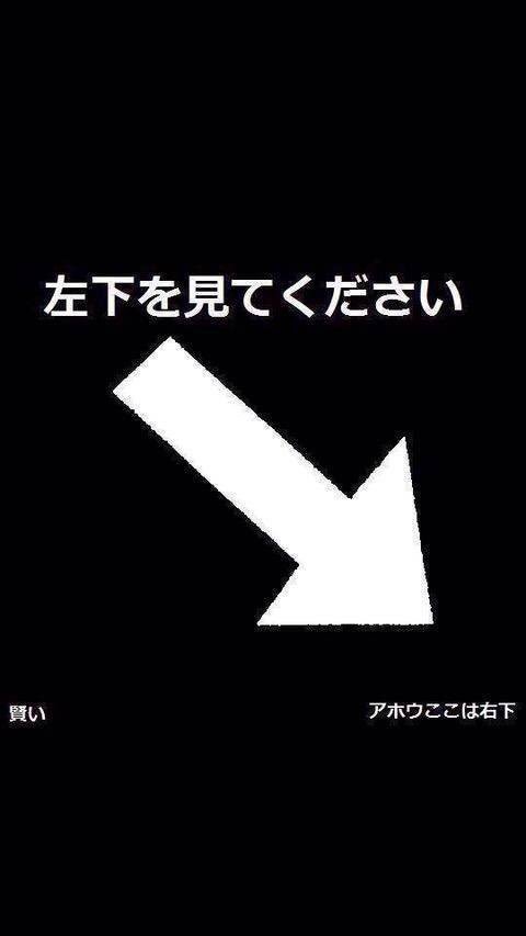 なんで保存したかわからない画像