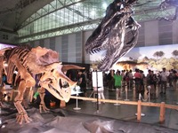 triceratops_01