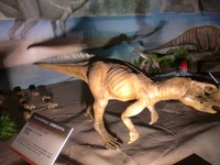 psittacosaurus_02