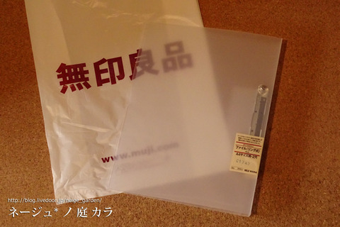 DSC00418bgtp