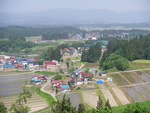 IMGP2292