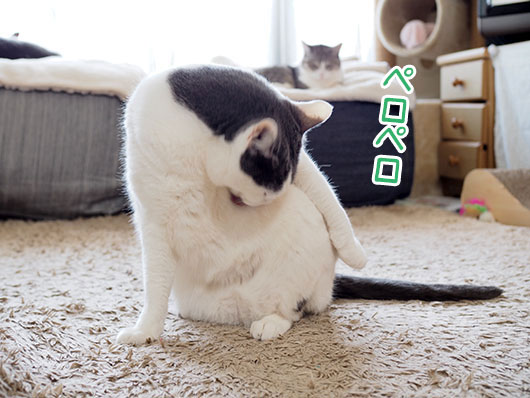 ペロペロ