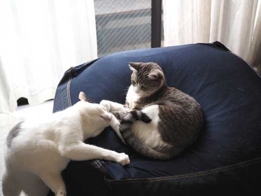 譲って