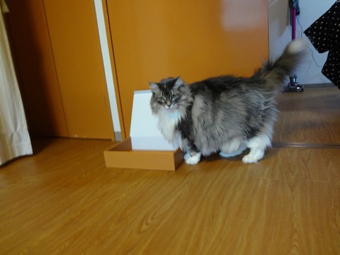 DSC01641