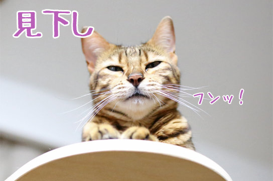 おいしそうな脚の女子高生･旋風編1脚目 [転載禁止]©bbspink.com	->画像>1633枚 