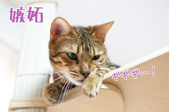 おいしそうな脚の女子高生･旋風編1脚目 [転載禁止]©bbspink.com	->画像>1633枚 
