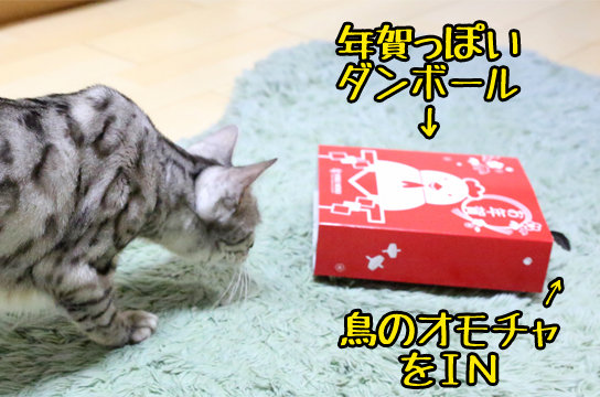 シルバーベンガル猫