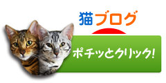 猫ブログ村ランキング