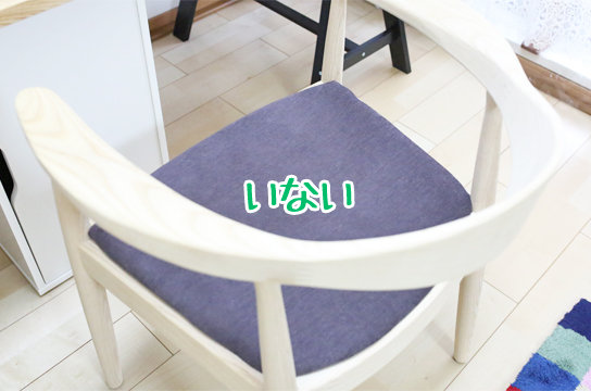 ザ・チェア