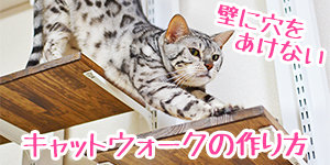 手作りキャットウォーク