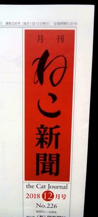 ねこ新聞