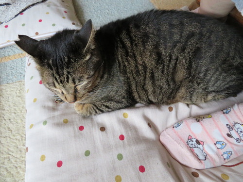 足元