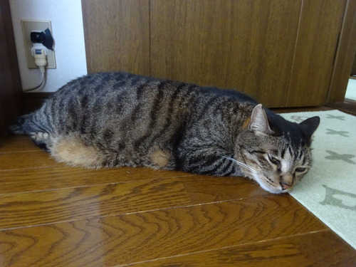まだ同じ場所