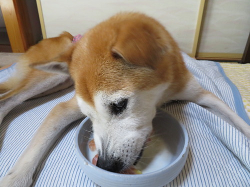 湯むきトマト