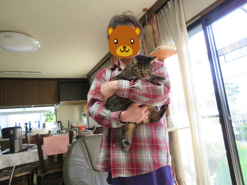 こっち向いて