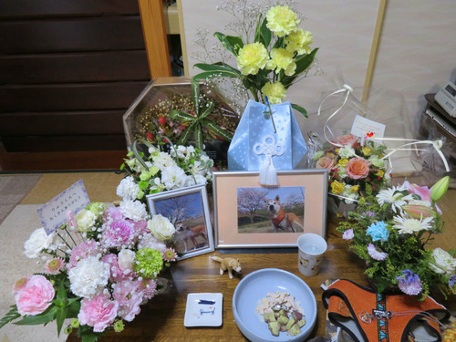 素敵なお花に囲まれて