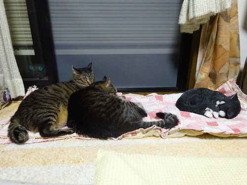 夜は