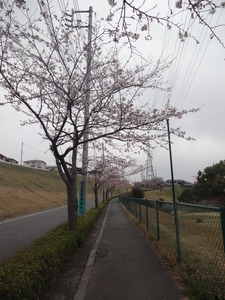 ¥³¥³¤ò¹Ô¤³¤¦¤È¤·¤¿¤é¡¦¡¦¡¦
