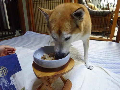 スペシャル