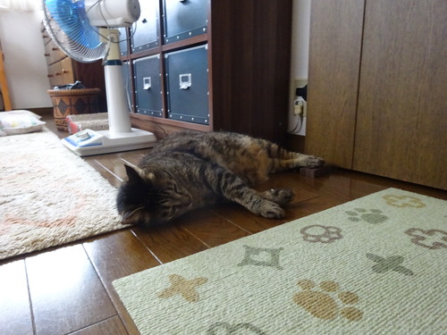 たくみは2階の