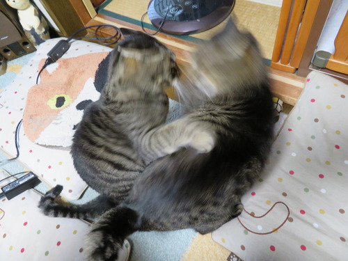 バトル中