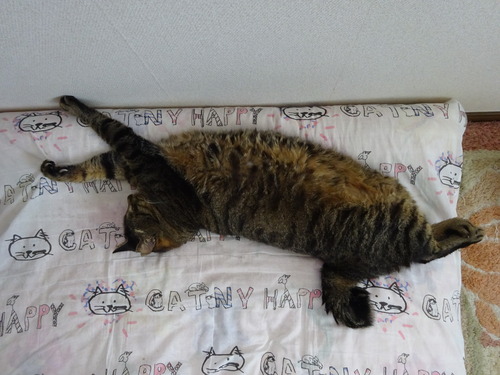 伸び〜ん