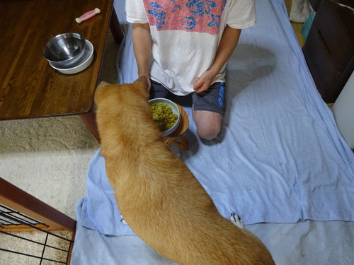 ご飯