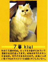 7番KIMI