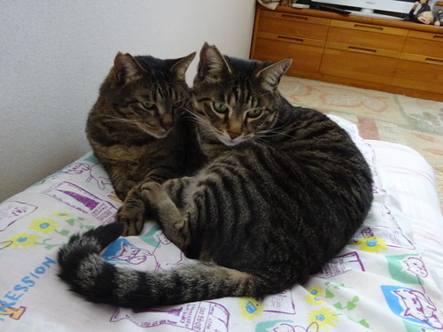 2階へ