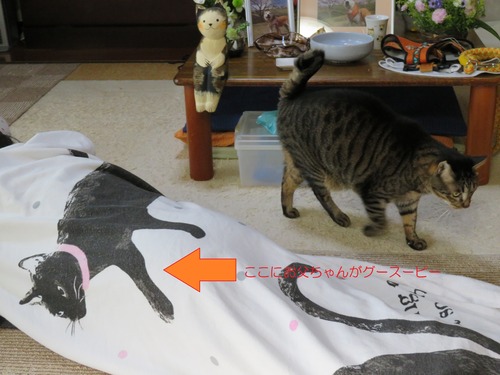 ここにお父ちゃんがグースーピーzzz