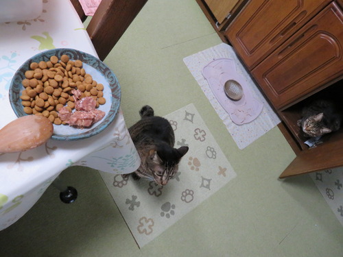 お待たせ