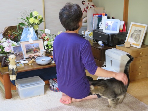 2週間経った
