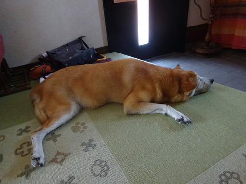 玄関で