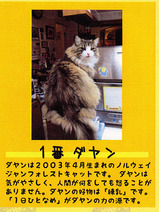 1番 ダヤン