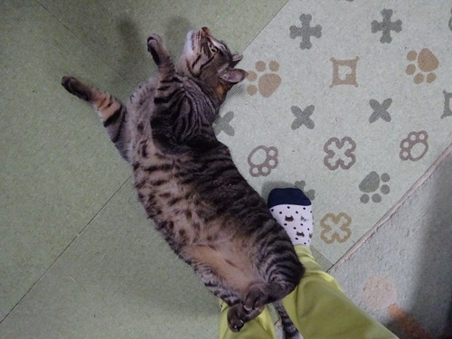 伸び〜んして